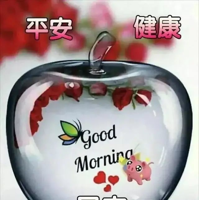 特别漂亮的问候早上好幽默动画,问候早安的好句子群发