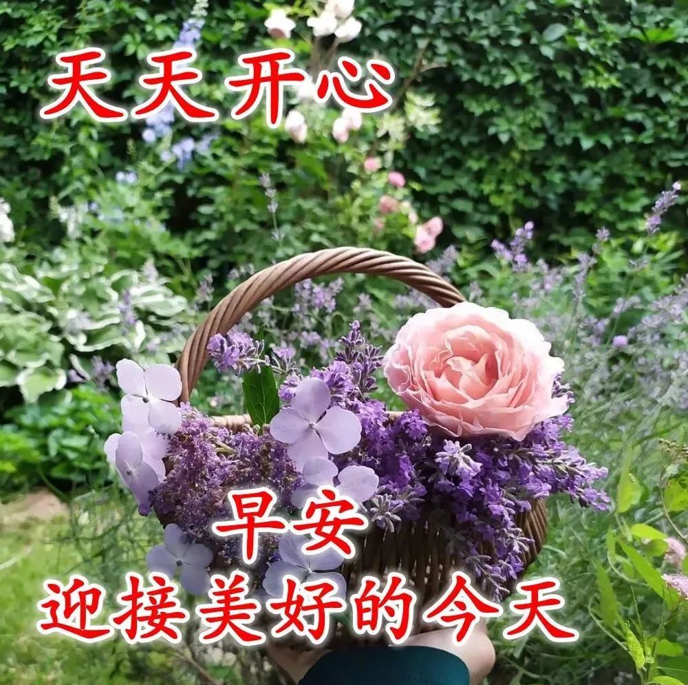 早上好图片最新图片风景 秋季早安2021最美图片 最美早安励志图片带字
