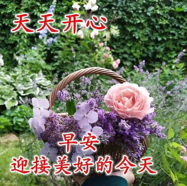 10月09日最漂亮的早上好祝福语图片温馨 清晨群发短语暧心问候动图