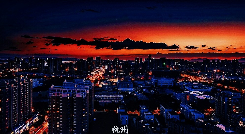 商业潜力城市排名_又一行业被“宠”到排名J!门店暴增300%,有商家预约需