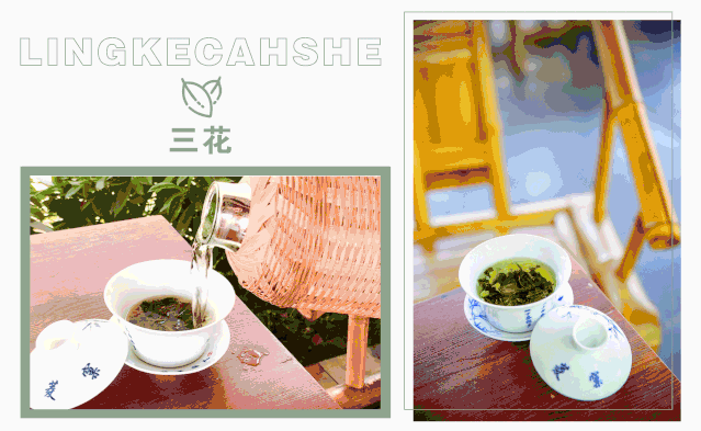 在各色茶馆里,品味真实成都生活