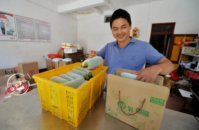 南安这位乡长带头卖货,农民开心极了|农民|南安市|向阳乡|姚贤良|丝瓜