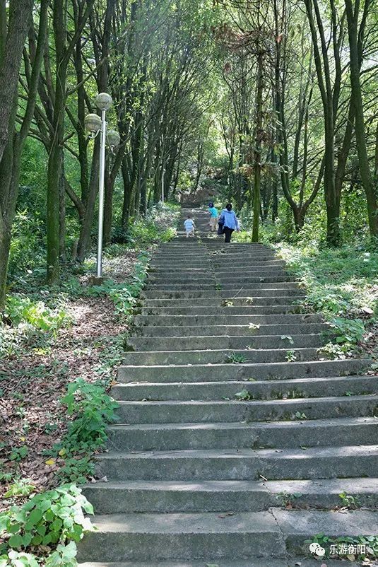 想要有仙又有景的森林浴?来鹿岐峰森林公园吧