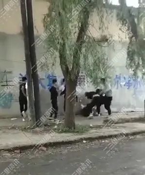 榆树人口有多少人口_榆树盆景