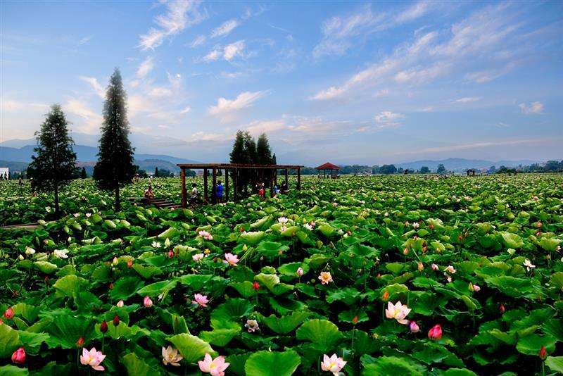 (莲花县风景区)