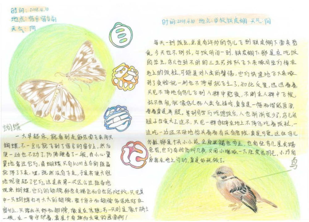 美丽中国我是行动者2019年全国青少年自然笔记大赛优秀作品集(3)