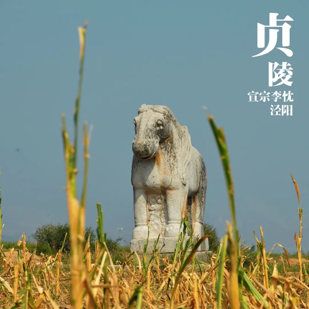 国庆节,来一次不同凡响的探秘之旅!