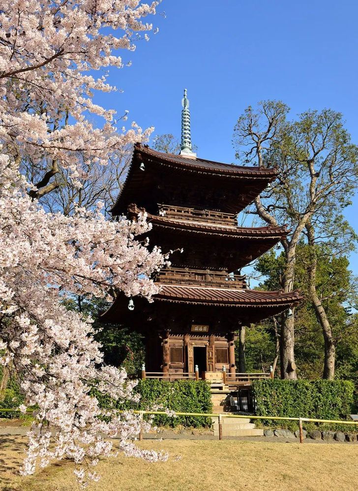 大正13年(1924)由京都移筑而来的白玉稻荷神社,被誉为椿山庄的守护神.