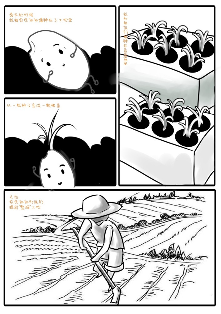 杜绝浪费,宁波高校学子手绘漫画"一粒米"的故事
