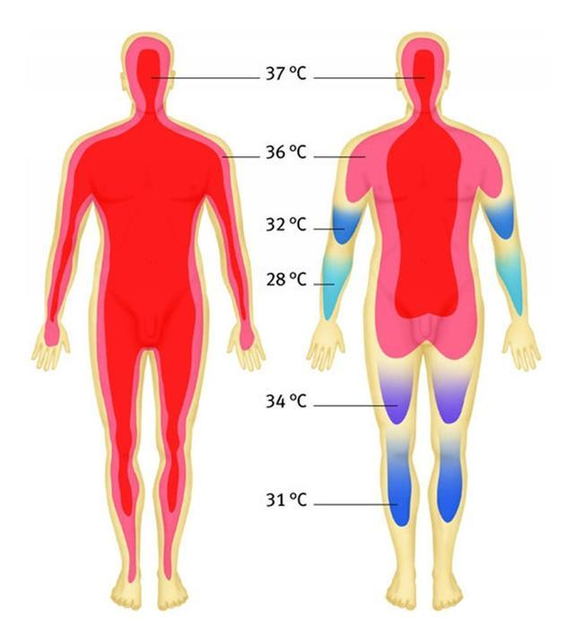 人体皮肤的温度很大程度上受气温的影响.