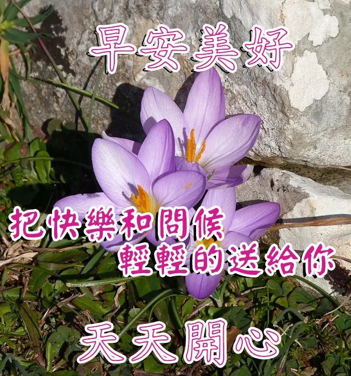 早上好问候语图片带字 早上好表情包