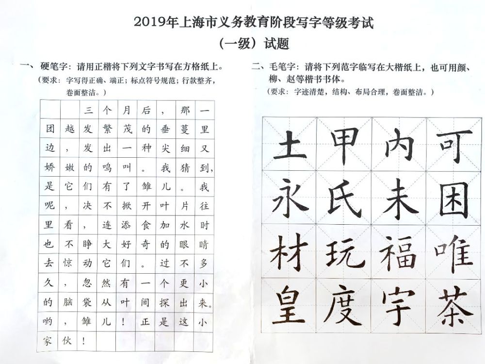 试题卷长这样的 今年《写字等级考试》的评分标准变了, 从往年的"