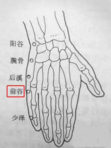 针灸穴名解—小肠经腧穴 前谷