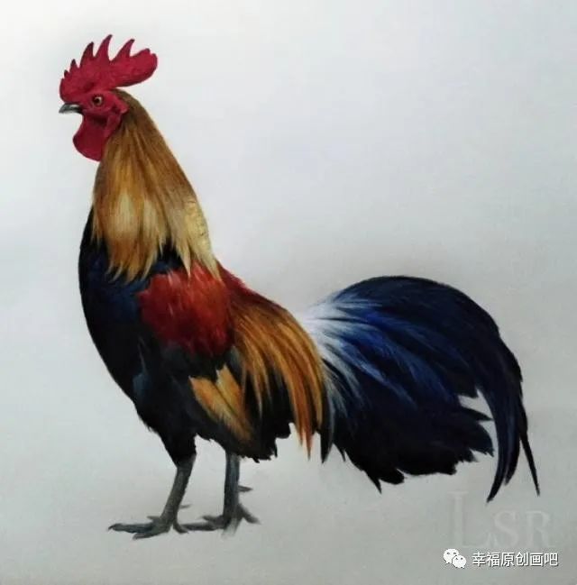 睁大眼睛仔细观赏哦,李胜仁彩铅画作品分享