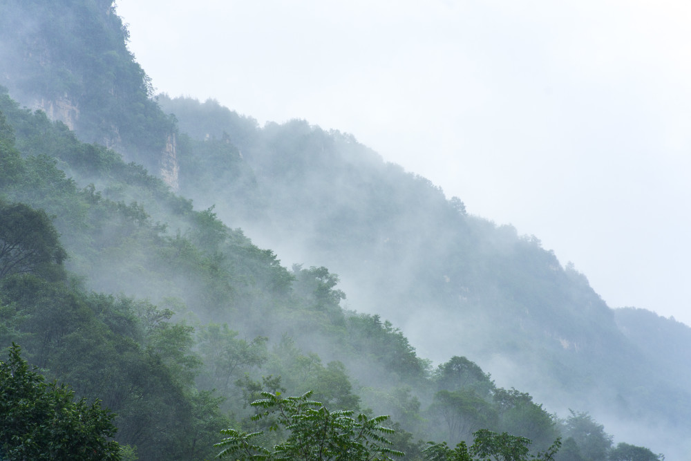 保康多少人口_保康聚龙山海拔是多少(2)