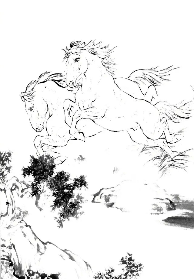 马的白描线稿很难画常见15种马的白描线稿教你画收藏临摹