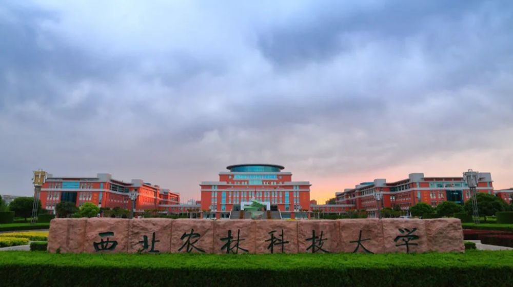 【淡厚然去哪个大学,浙江省回浦中学的外语和体育特色是如何发展起来的】
