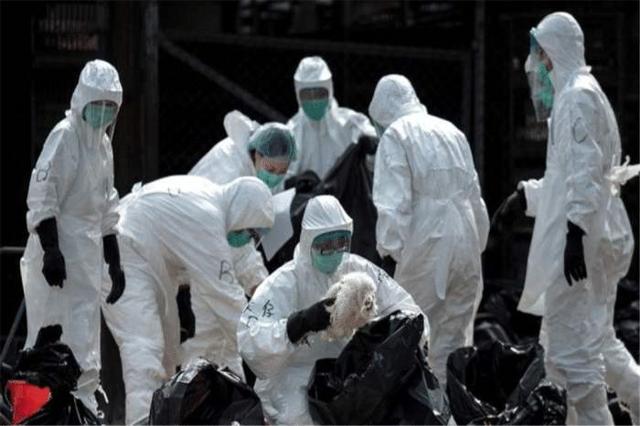 一个坏消息从美国传来,疫情失控之际,更绝望的一幕