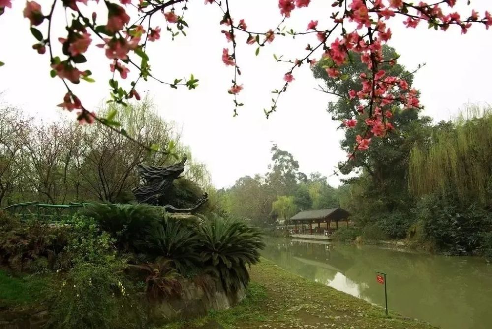 成都是来了就不想走的城市,浣花溪是非去不可的公园