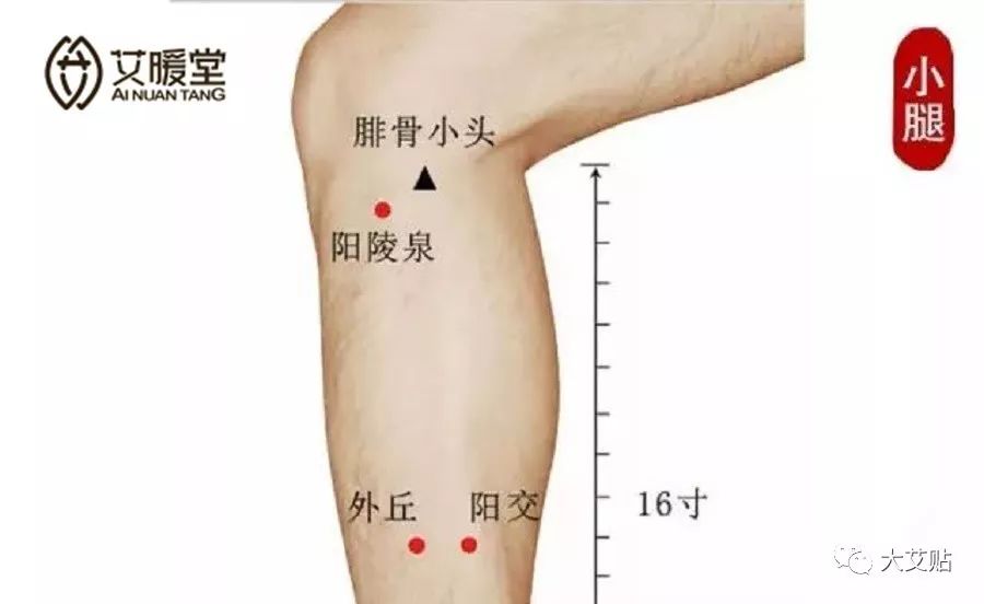 艾灸这3个穴位赶走膝关节疼痛!
