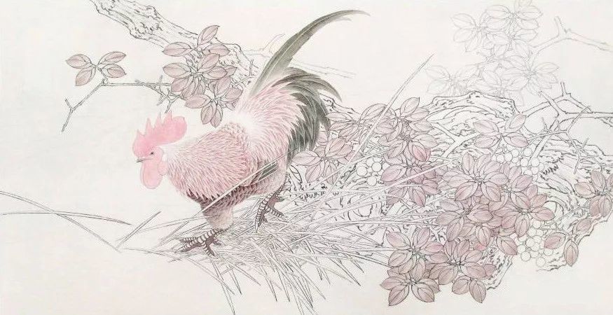 工笔画公鸡金翎承露绘画步骤教程