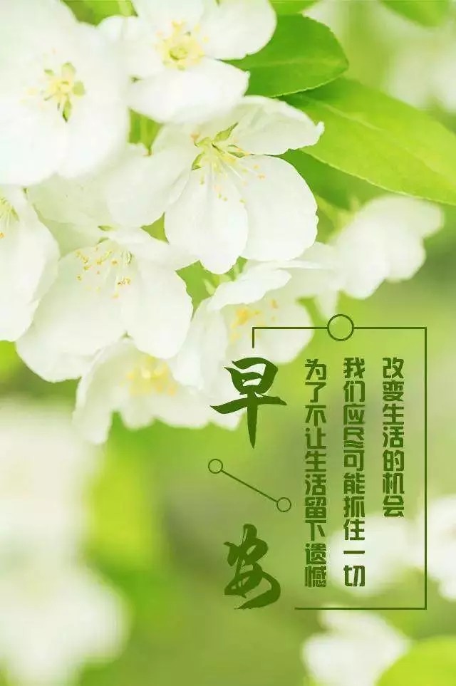 适合8月29日发朋友圈的早安句子!
