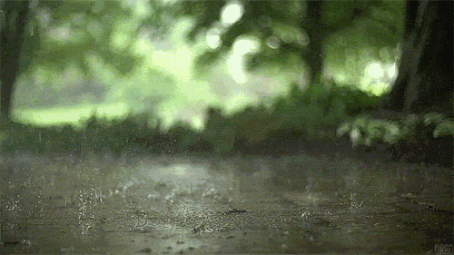 雨天读诗,诗中有雨