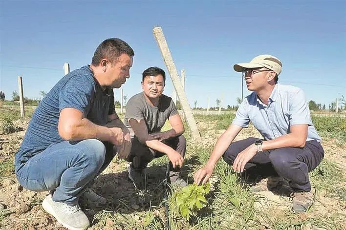 扶贫扶智扶健康 真情援疆谱华章—深圳援疆干部人才风采