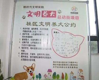 唐子青表示,社区向居民免费发放了狗狗的牵引绳,还设立了文明养犬公约