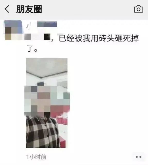 男子用砖块砸死女友,事后发朋友圈:杀了她,不后悔