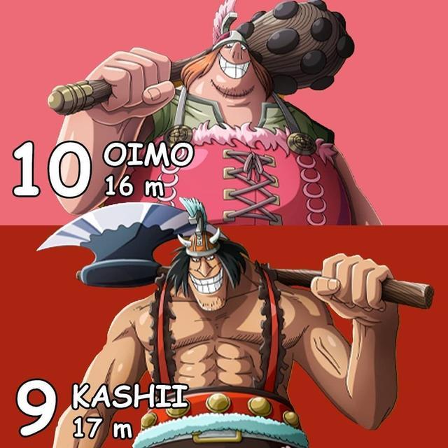 海贼王最高的10位巨人的身高排行圣胡安恶狼在海里走着怕鱼咬