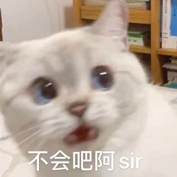 可爱的沙雕句子之意想不到篇