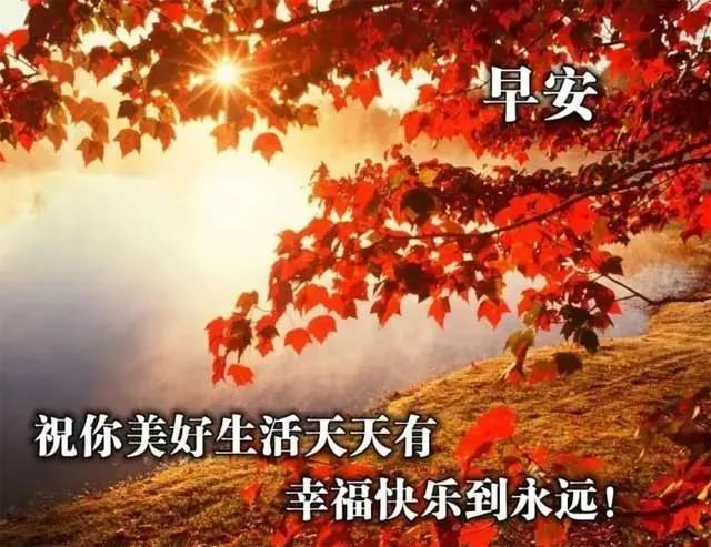 12月24日平安夜 早上好最棒问候表情祝福语录 清晨最美祝福美图