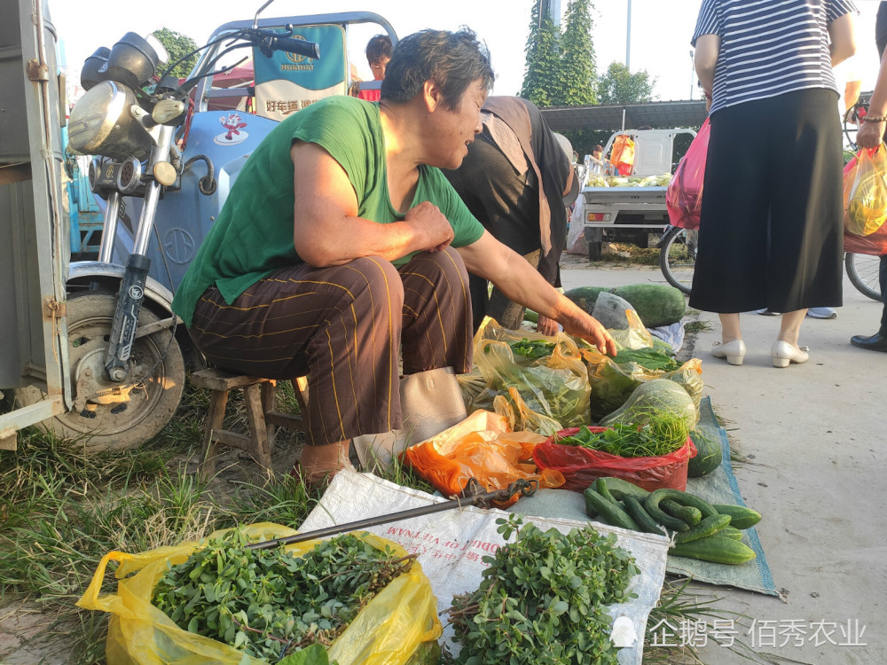 菜市场逐渐消失的农村"自卖头",爱卖热门蔬菜,价格是亮点