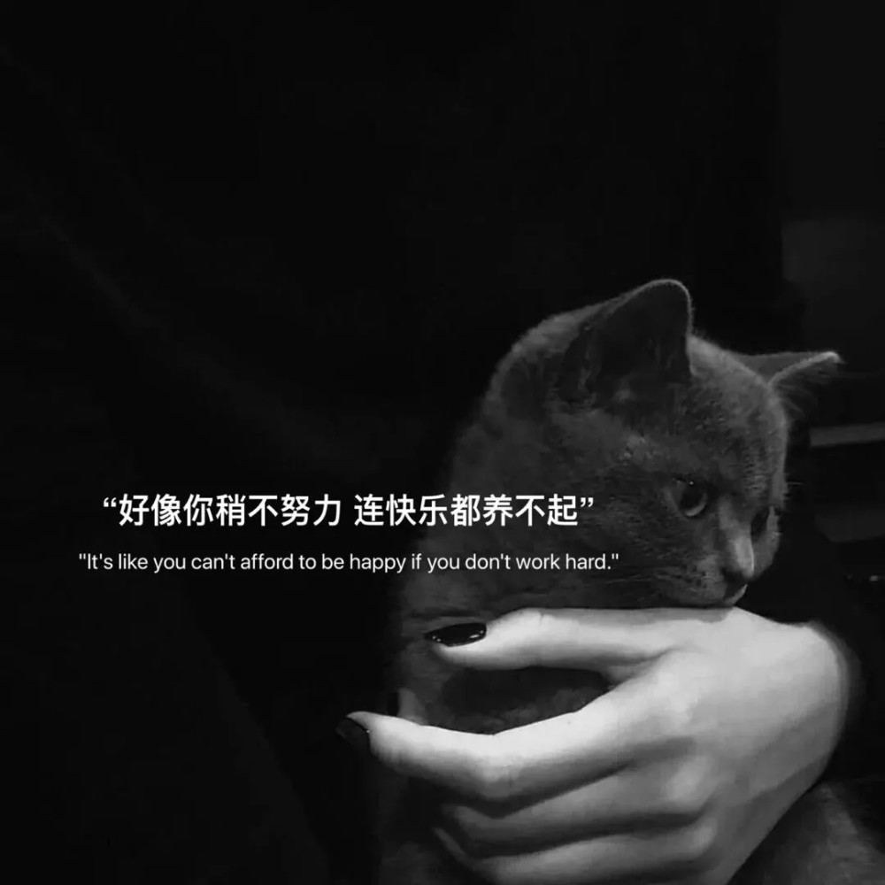 文字背景图满是遗憾的扎心文案