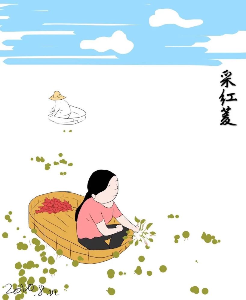 下午经过沈巷的时候,见已有红菱卖,一问,果然沈巷村塘产有红菱
