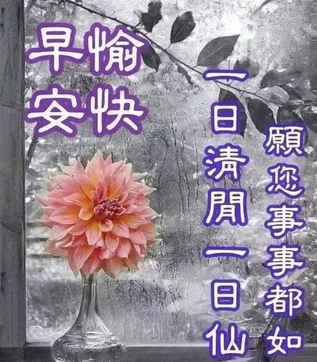 早上好问候语图片表情大全,早上好祝福语图片带字