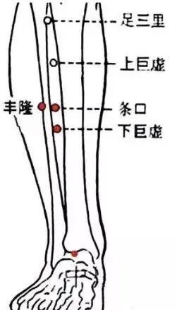 4,化痰穴——丰隆对于肝火旺盛而导致的白发,浮白穴是常用经验穴.