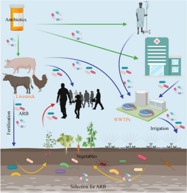 农业生态系统中抗生素抗性基因的传播_腾讯新闻