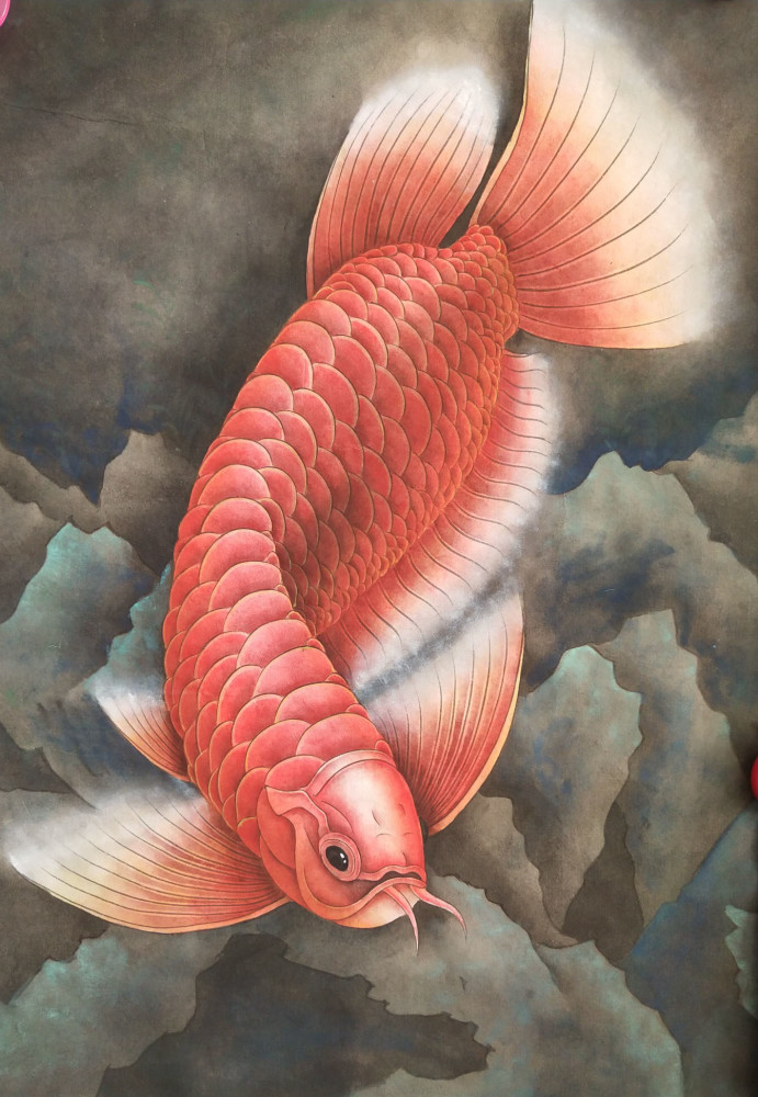 华丽的鱼中贵族——龙鱼工笔艺术画欣赏