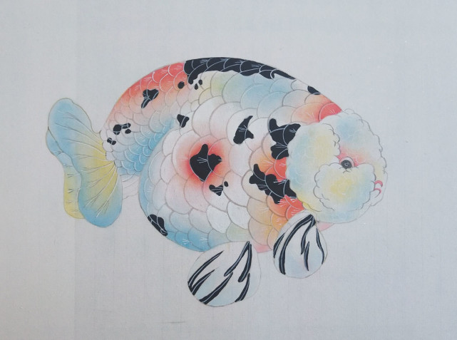 兰寿金鱼及金鱼工笔画作品欣赏