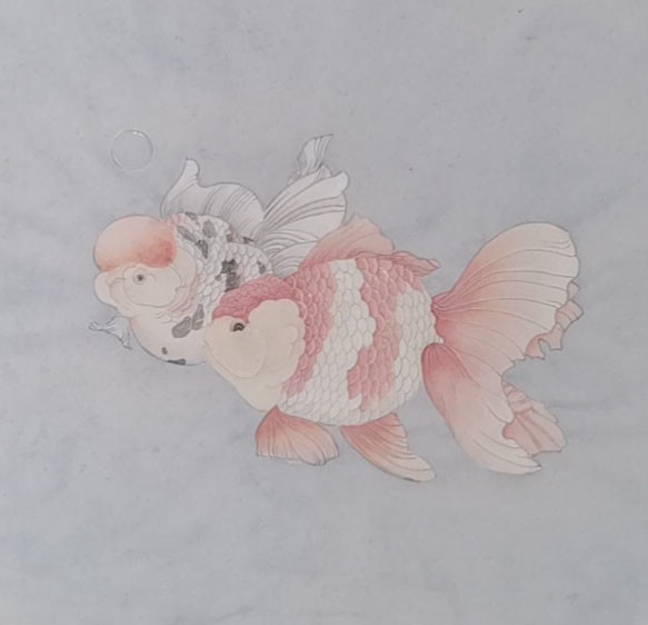 兰寿金鱼及金鱼工笔画作品欣赏