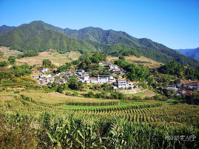 宁洱青山遮不住乡村旅游致富忙