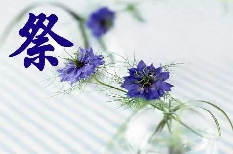 1962ũ³_ũ³_ũ³ĳ