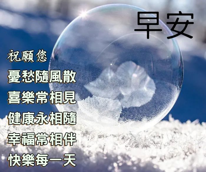 早上好图片大全阳光 早上好图片带鲜花