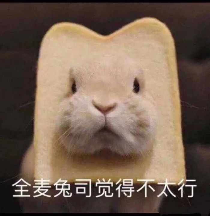 你永远单身 你永远单身
