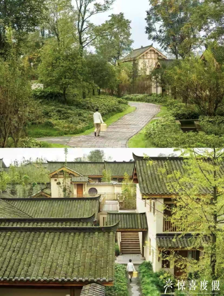 全国仅此一家的青城山六善有山有水有熊猫