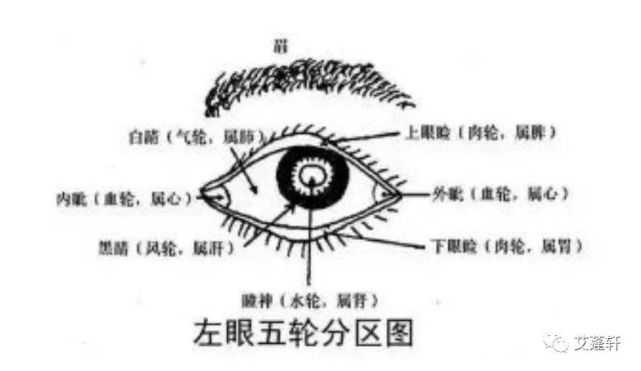 从五轮学说中,我们可以看到上下眼睑属于脾.