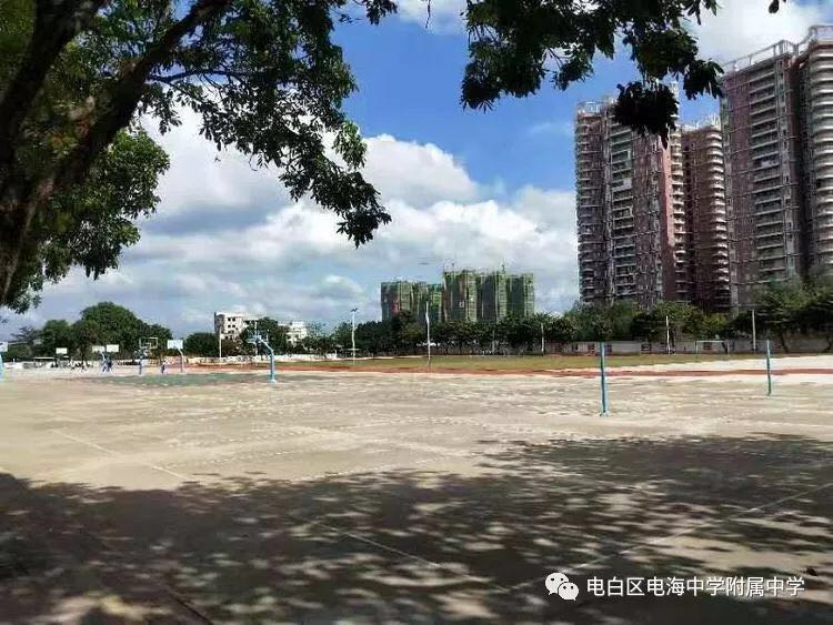 化州市 化州市丽岗镇中心小学 化州市杨梅中学 滨海新区 电白区电城镇