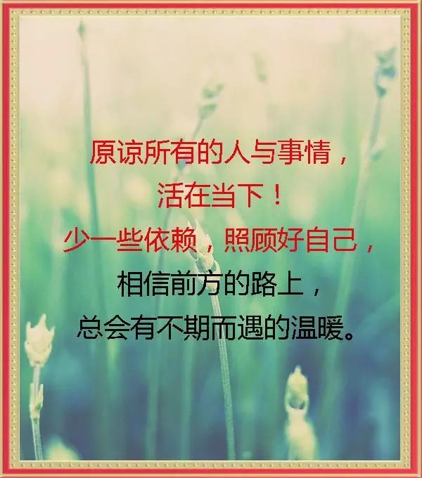 伤害过我的人,可以原谅,但不再信任